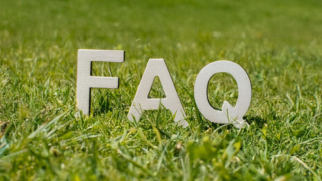 Buchstaben "FAQ" auf einer Wiese
