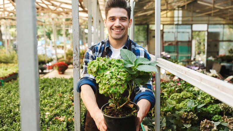Glücklicher, junger Gärtners an seinem Arbeitsplatz über den Pflanzen, der eine Pflanze hält