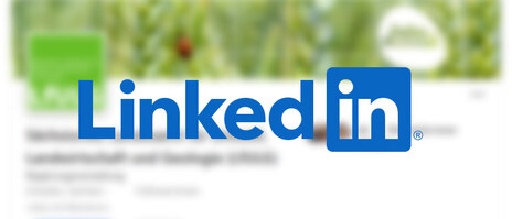 Screenshot Kopfbereich des LfULG-Auftrittes bei LinkedIn mit LinkedIn-Logo