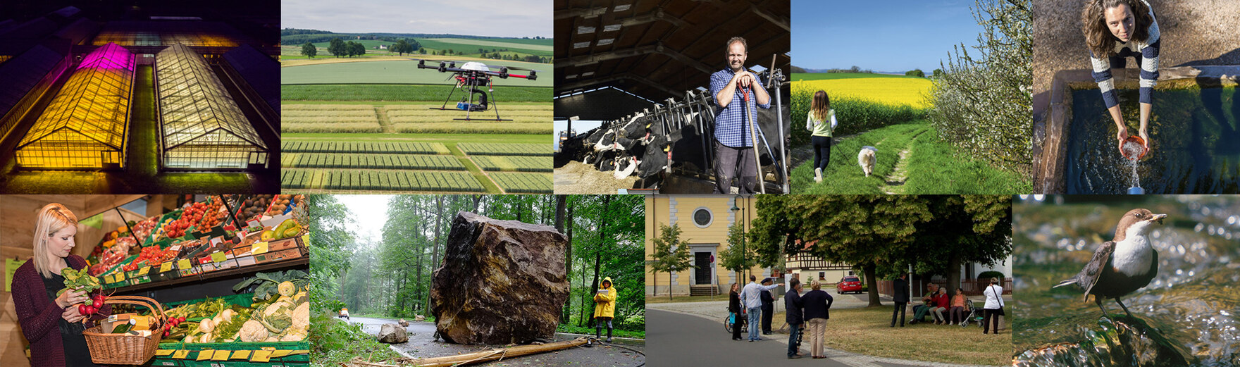 Collage von Bilder, die verschiedene Arbeitsbereichs des LfULG darstellen: Drohne über Versuchsflächen, Gewächshäuser, Landwirt, geschützte Arten, Dorfplatz, regionale Lebensmittel, Wetter, Wasser